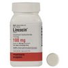 drugstore-365-days-Lincocin